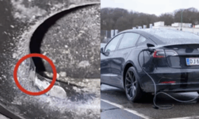 Tesla/Dennis