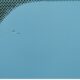 car dots