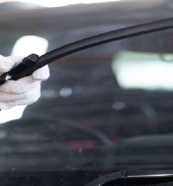 vinduesviskere windshield