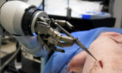 Verdensførste i operasjonssalen: Humanoide roboter fjernet galleblære på levende griser