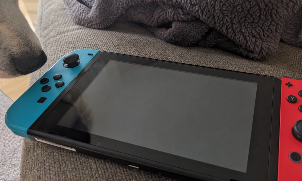 Nintendo har et uvanlig råd til alle hundeeiere med en Switch