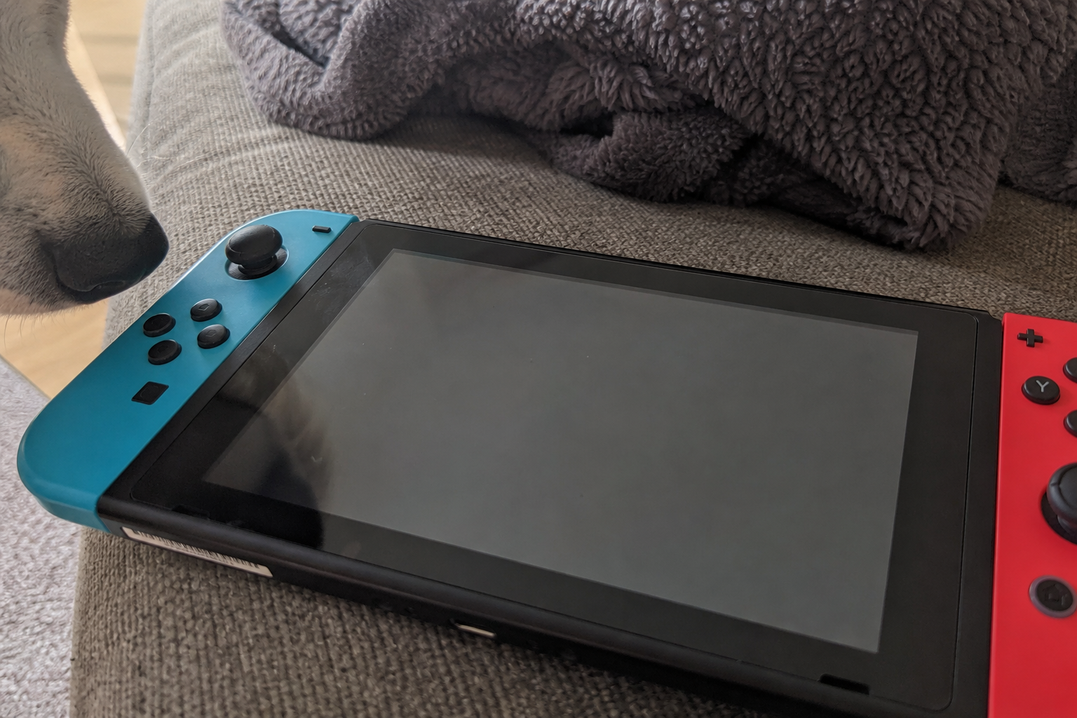 Nintendo har et uvanlig råd til alle hundeeiere med en Switch