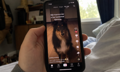Forskere advarer om TikTok: Algoritmen svekker unges evne til å vurdere psykisk helse-råd