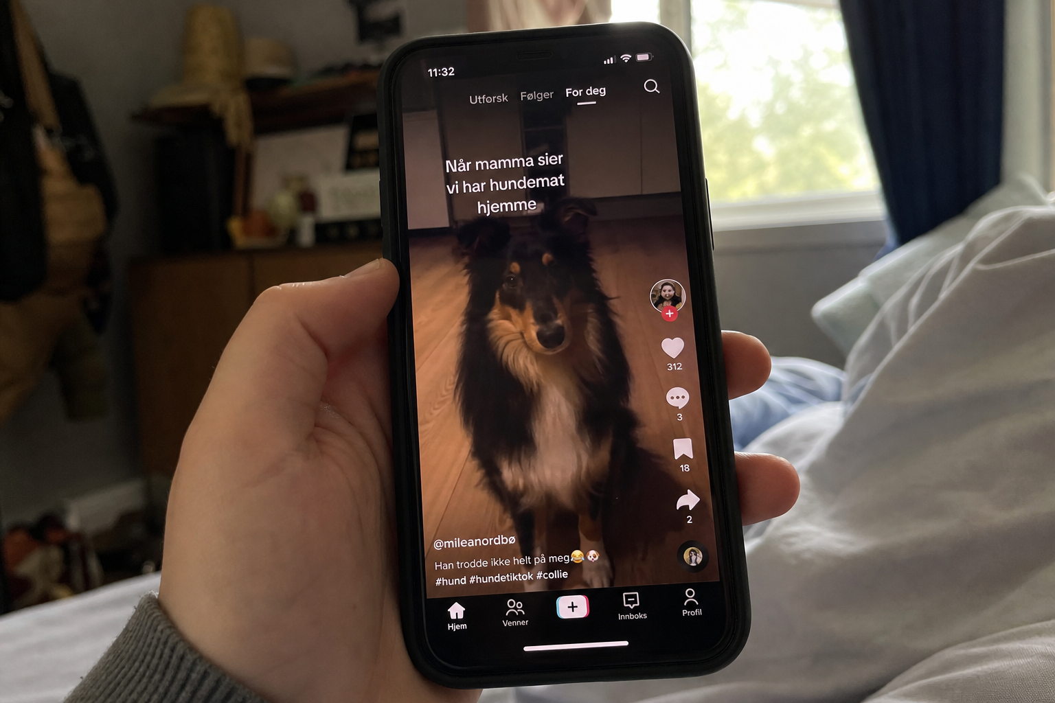 Forskere advarer om TikTok: Algoritmen svekker unges evne til å vurdere psykisk helse-råd