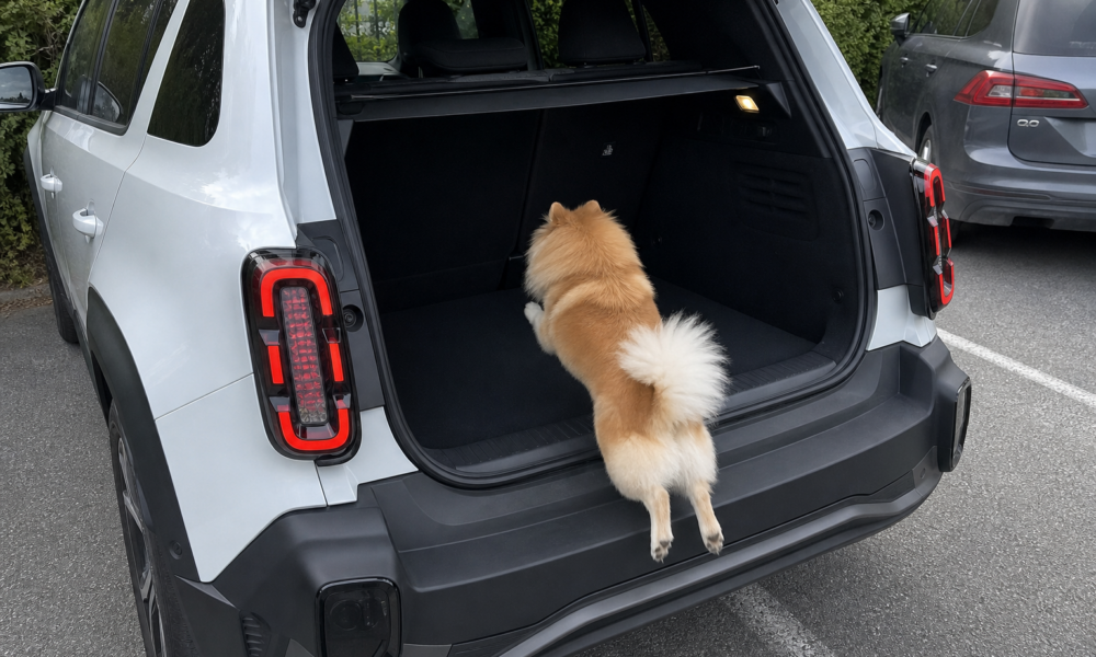 Kjøper du elbil og har hund: Disse fem modellene er best egnet for deg