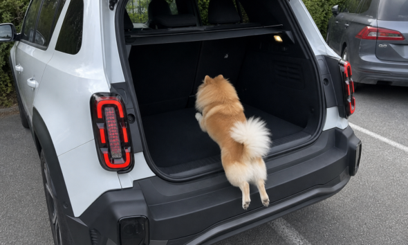 Kjøper du elbil og har hund: Disse fem modellene er best egnet for deg