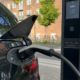 Danmarks historiske elbil-rekord trues: Skatteendringer kan snu 97-prosent-andelen