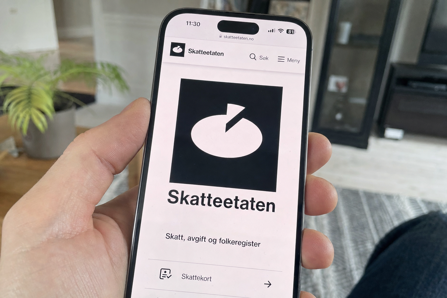 Bestiller du fra nettbutikker i utlandet: Slik unngår du skjulte toll- og mva-krav